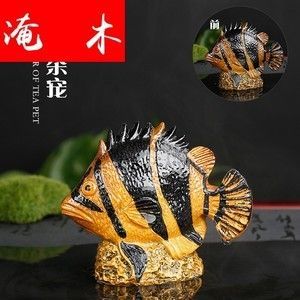 金龍魚吃什么變色快又好看：金龍魚吃什么會上色快