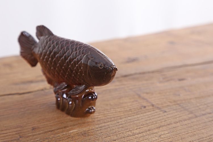 金龍魚吃什么變色快又好看：金龍魚吃什么會上色快