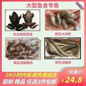 龍魚喂林蛙的好處和壞處有哪些：龍魚喂林蛙好處和壞處有哪些龍魚喂林蛙的好處和壞處