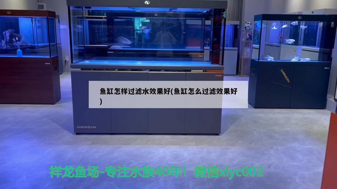 紅龍魚喂什么發色快一點好看圖片（紅龍魚喂什么發色快一點好看圖片大全）
