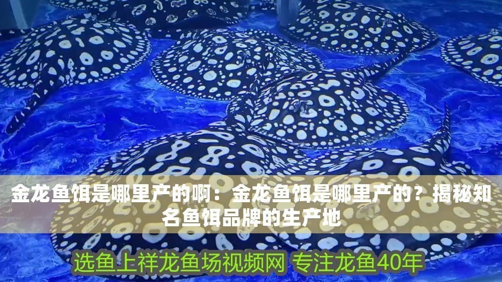 金龍魚餌是哪里產的啊：金龍魚餌是哪里產的？揭秘知名魚餌品牌的生產地