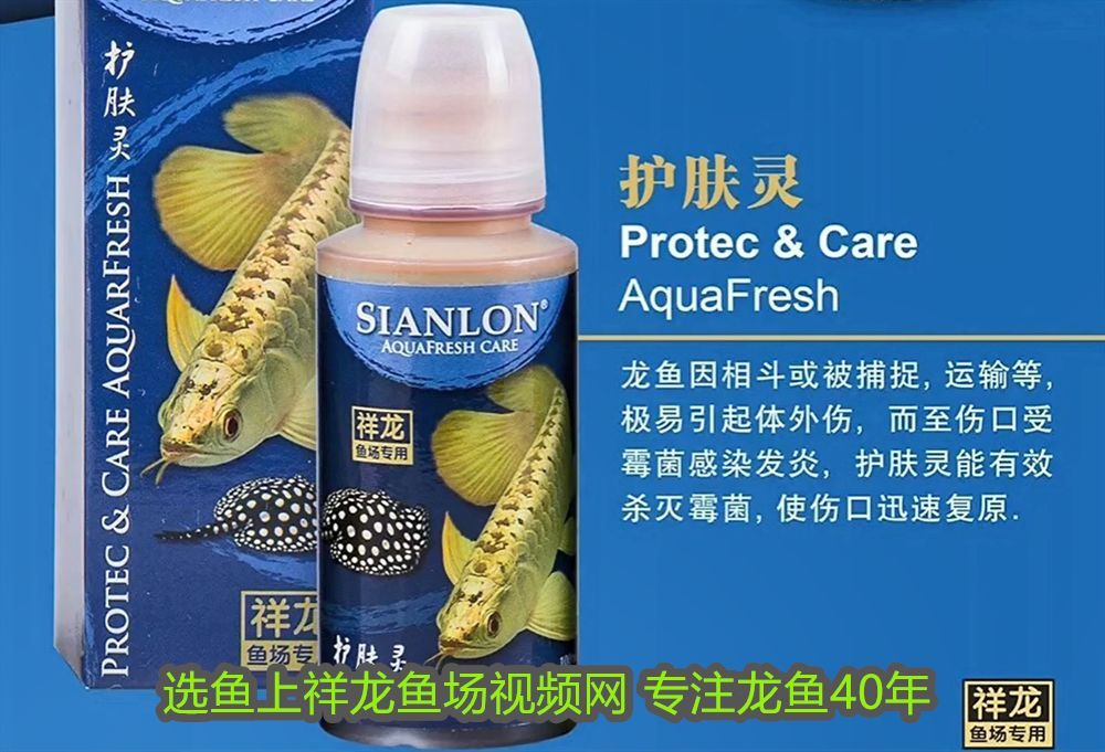 龍魚水質檢測哪些不合格的魚不能養：龍魚水質檢測中常見的不合格指標及應對措施