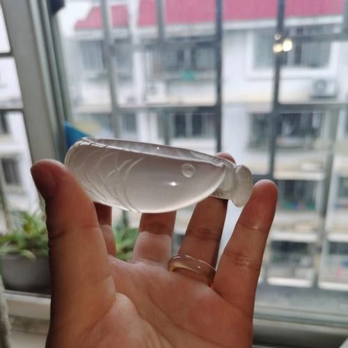 玉雕龍魚(yú)圖片大全欣賞 玉雕龍魚(yú)圖片大全欣賞 龍魚(yú)百科 第39張