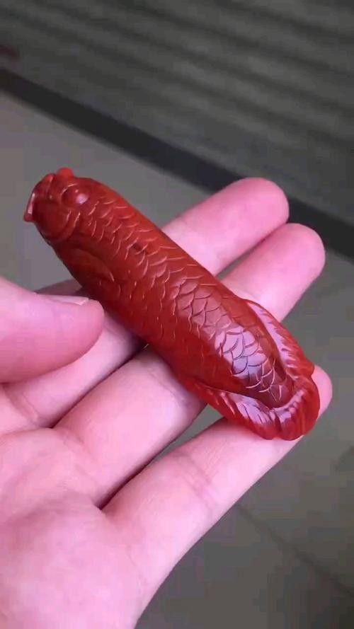 玉雕龍魚(yú)圖片大全欣賞 玉雕龍魚(yú)圖片大全欣賞 龍魚(yú)百科 第40張