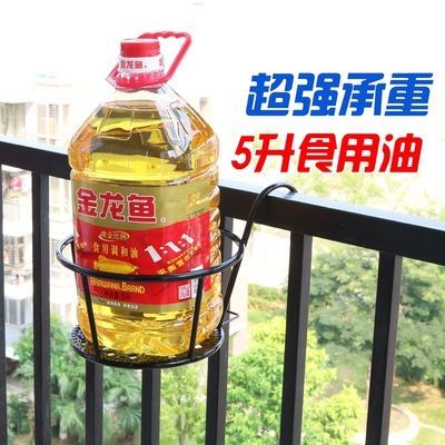 金龍魚花盆種什么花：金龍魚花盆種什么花卉