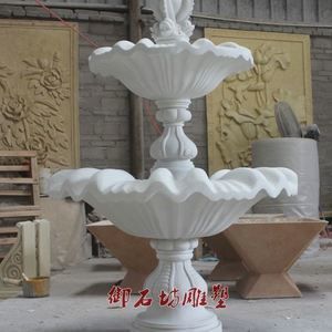 金龍魚花盆種什么花：金龍魚花盆種什么花卉