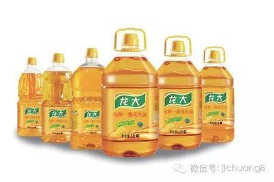 金龍魚級別排位：金龍魚的等級區分及種分類