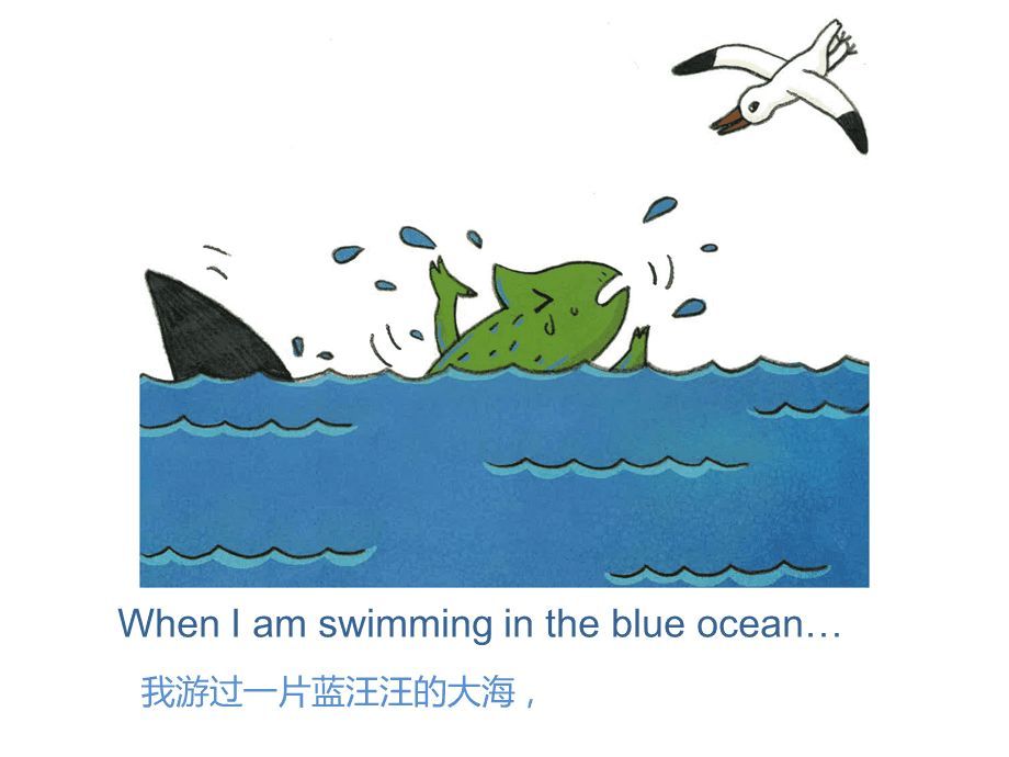 龍魚鑒賞PPT：關(guān)于龍魚鑒賞ppt的詳情