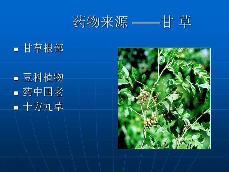 龍魚鑒賞PPT：關(guān)于龍魚鑒賞ppt的詳情