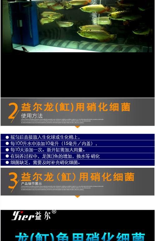 養龍魚要加硝化細菌嗎