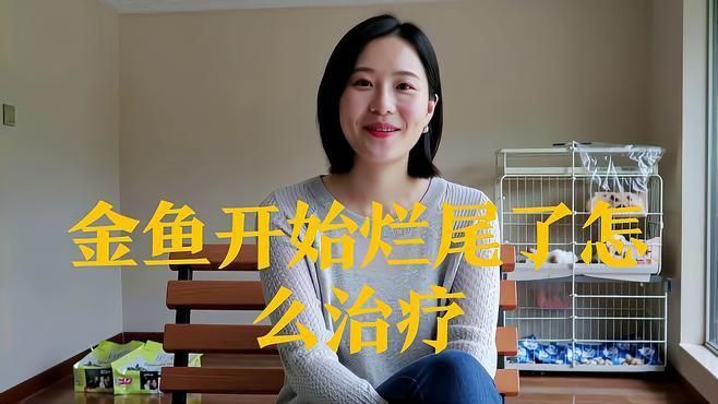 金魚爛尾病多久能治好？