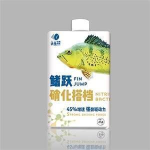 龍魚和虎魚怕鹽嗎為什么不怕鹽：如何正確使用鹽來養魚？