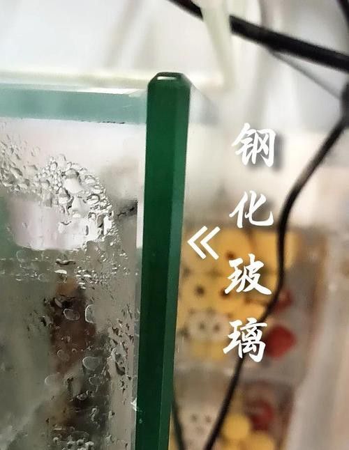 如何判斷龍魚缸材質(zhì)的好壞？