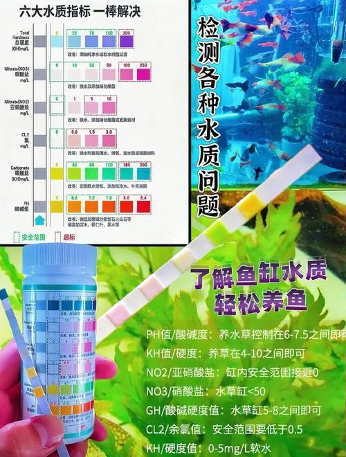 如何判斷龍魚缸材質(zhì)的好壞？
