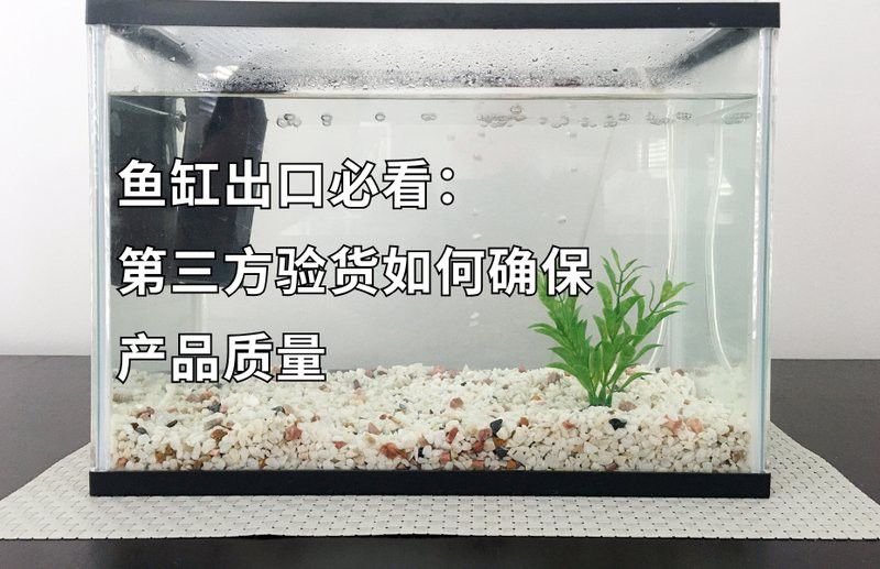 如何判斷龍魚缸材質(zhì)的好壞？