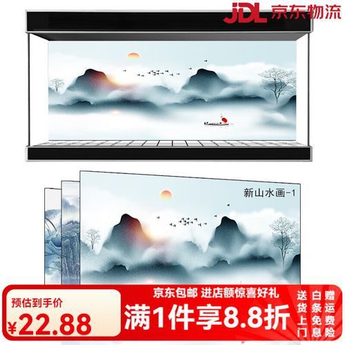 如何選擇適合銀龍魚的魚缸背景？