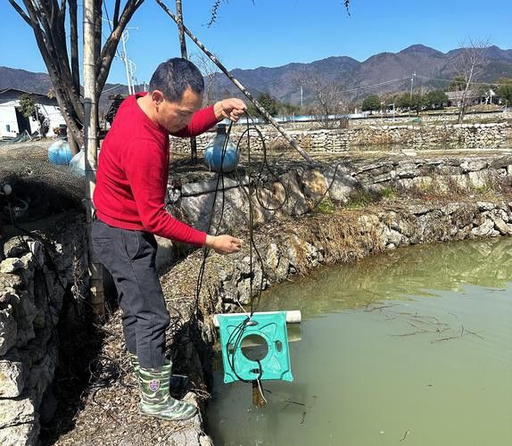 地圖魚能和金龍魚混養嗎圖片