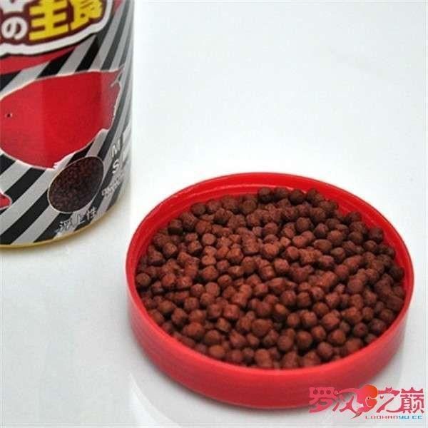 羅漢魚專用飼料選購技巧，羅漢魚專用飼料品牌對比羅漢魚飼料保存方法