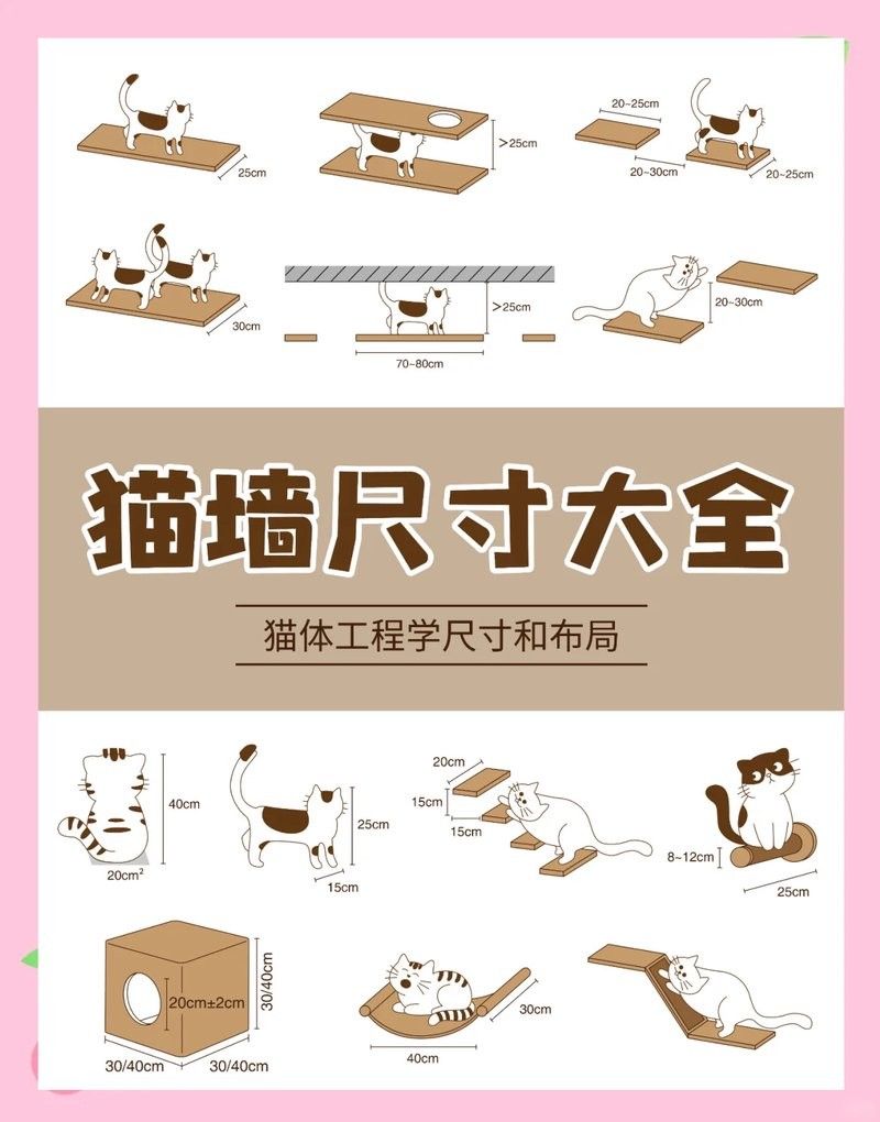 龍貓和貓一起養(yǎng)需要多大的空間？
