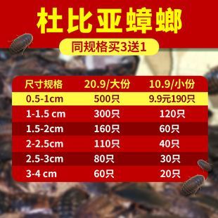 二十公分龍魚吃多少（二十公分的龍魚在不同的生長階段其食量會有所不同）