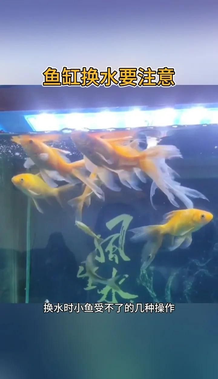 小火龍換水時需要注意什么？