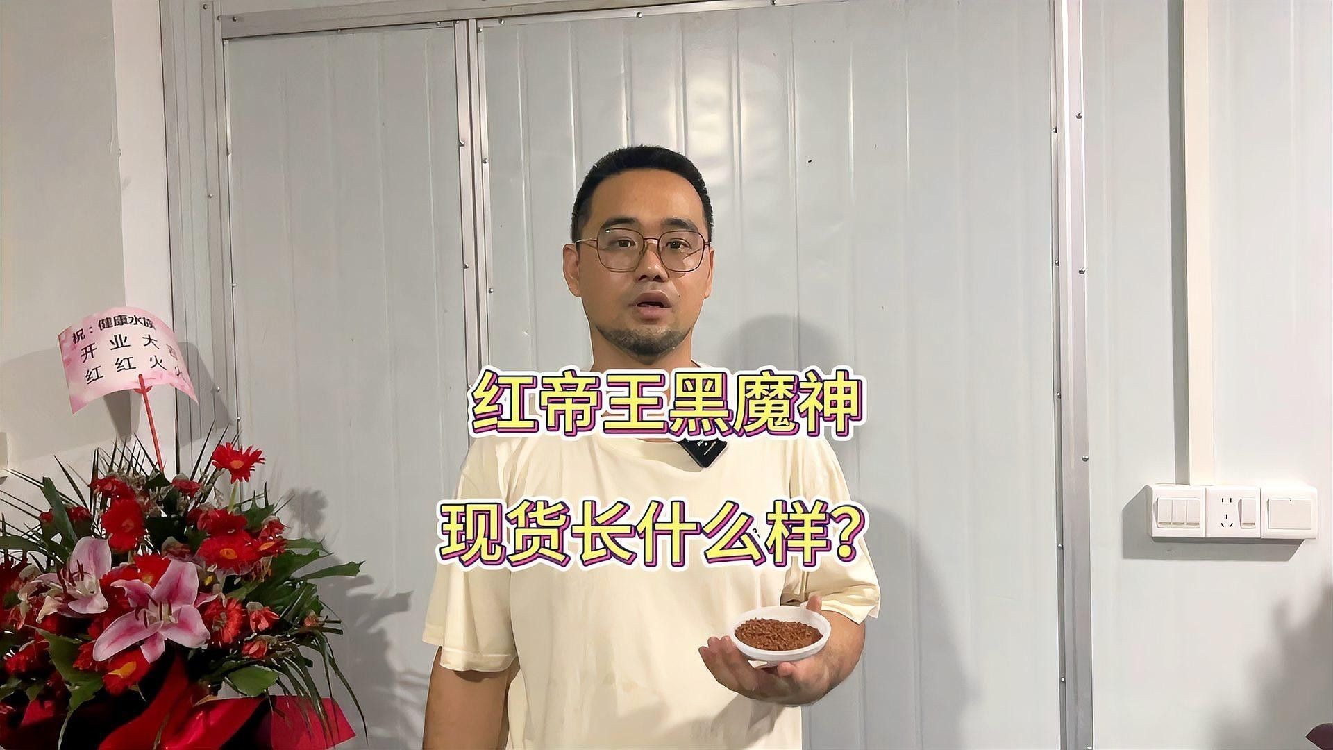 紅帝王黑魔神雷龍魚怎么爆梅花