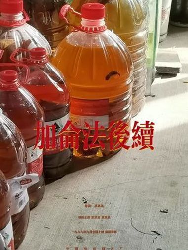 紅帝王黑魔神雷龍魚怎么爆梅花