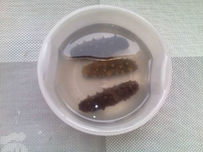 龍魚眼有白點怎么消除：龍魚眼睛出現白點可能是由于水質問題，龍魚白點病因及預防措施
