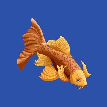 金龍魚頭像卡通：關于金龍魚頭像卡通的相關資源