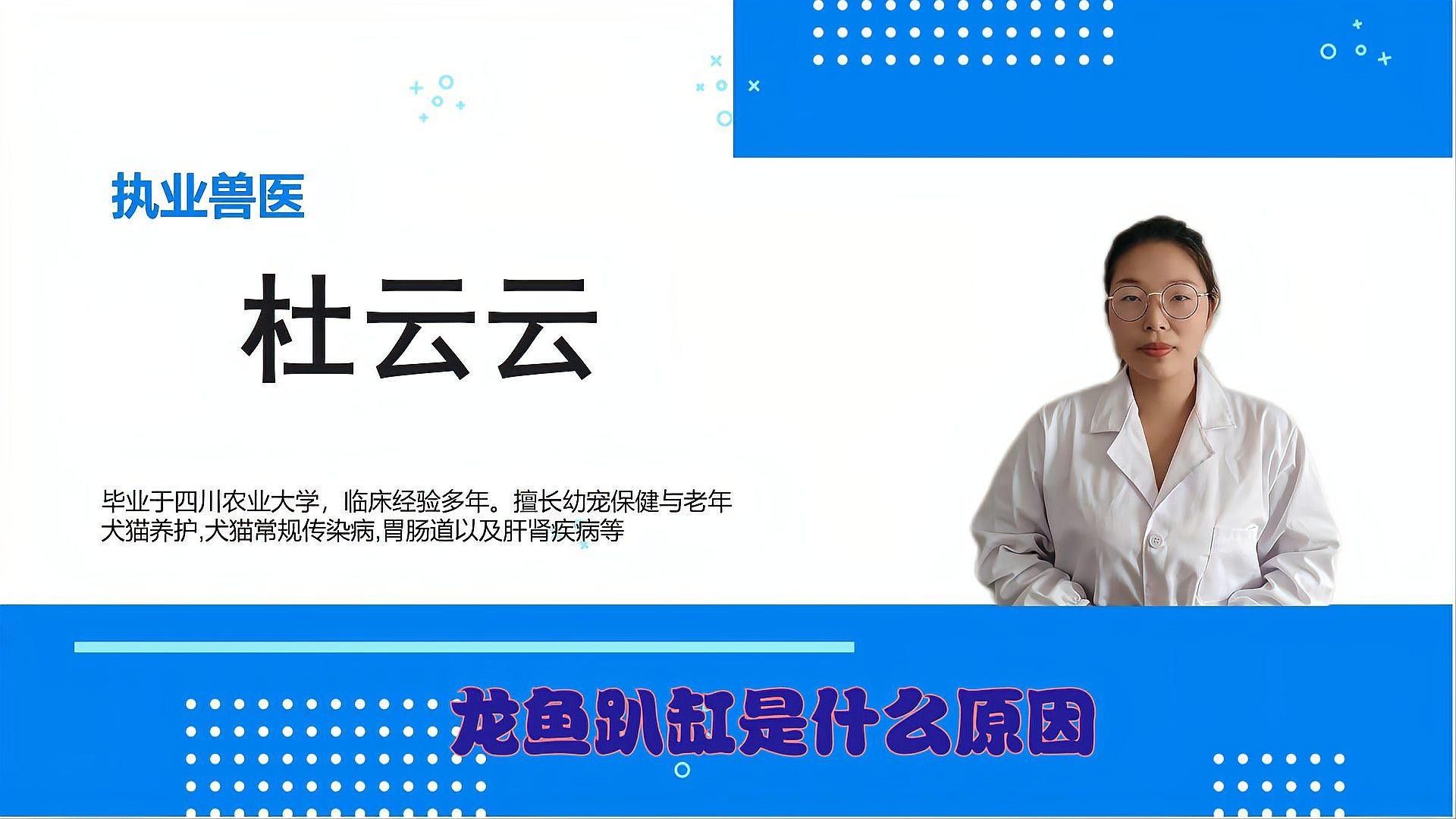 龍魚趴缸原因