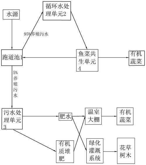 魟魚可以和龍魚一起養(yǎng)嗎圖片