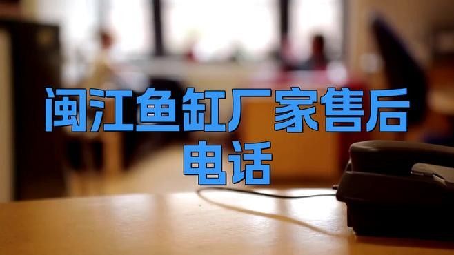 閩江龍魚缸的定制服務如何？