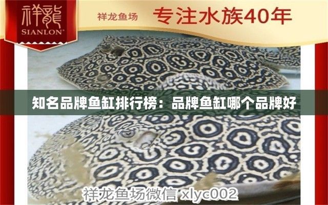 知名魚(yú)缸品牌