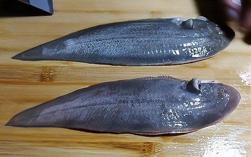 龍利魚又叫巴沙魚嗎