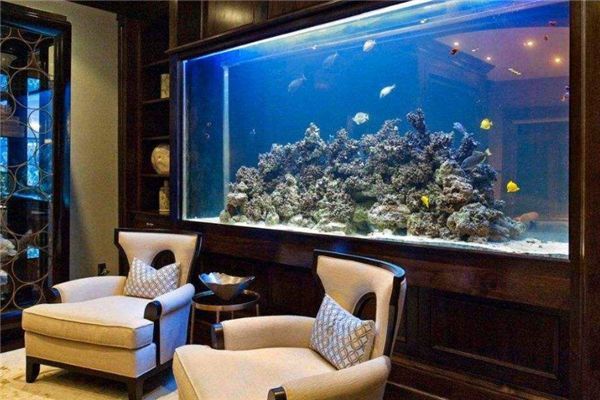 魚缸擺在大門對面好嗎圖片，魚缸擺放的最佳方位如何布置