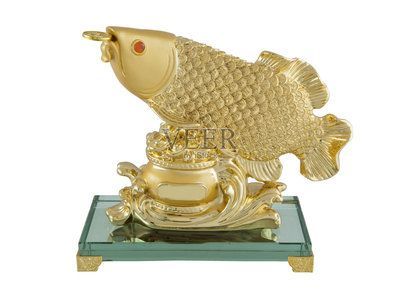 龍魚怎么上色快又好看視頻：龍魚上色的技巧