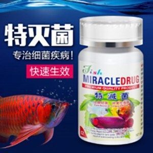 龍魚(yú)品種排名大全（龍魚(yú)品種排名）