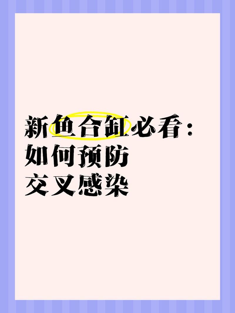 龍魚交叉感染最怕三個(gè)魚