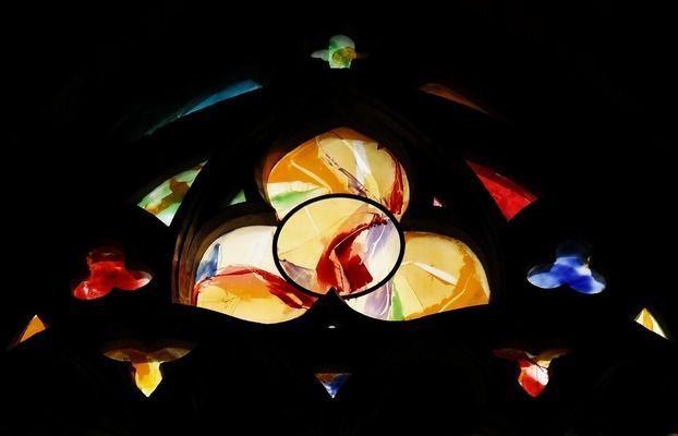 金龍魚體長年齡對照表：金龍魚體長與年齡的對應關系