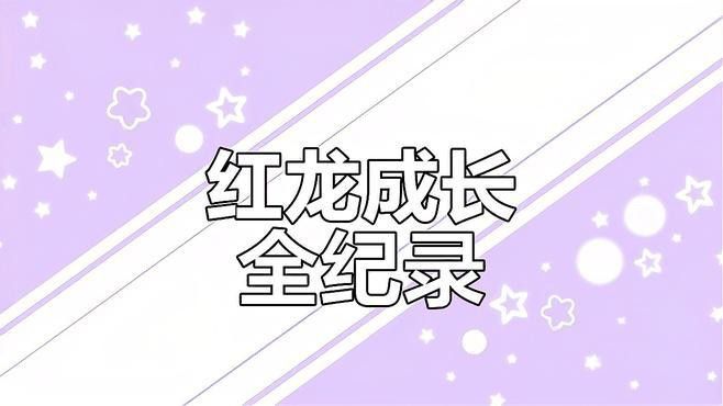 大湖紅龍魚長大視頻大全圖片