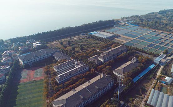 無錫龍魚寄養基地地址查詢