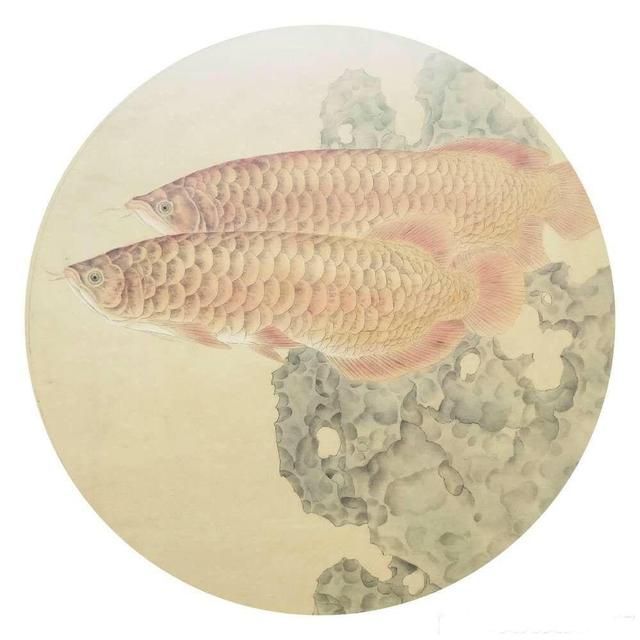 關(guān)于龍魚的詩(shī)句古詩(shī)有哪些（360問(wèn)答[2019-01-04]01-04]01-04]04]）