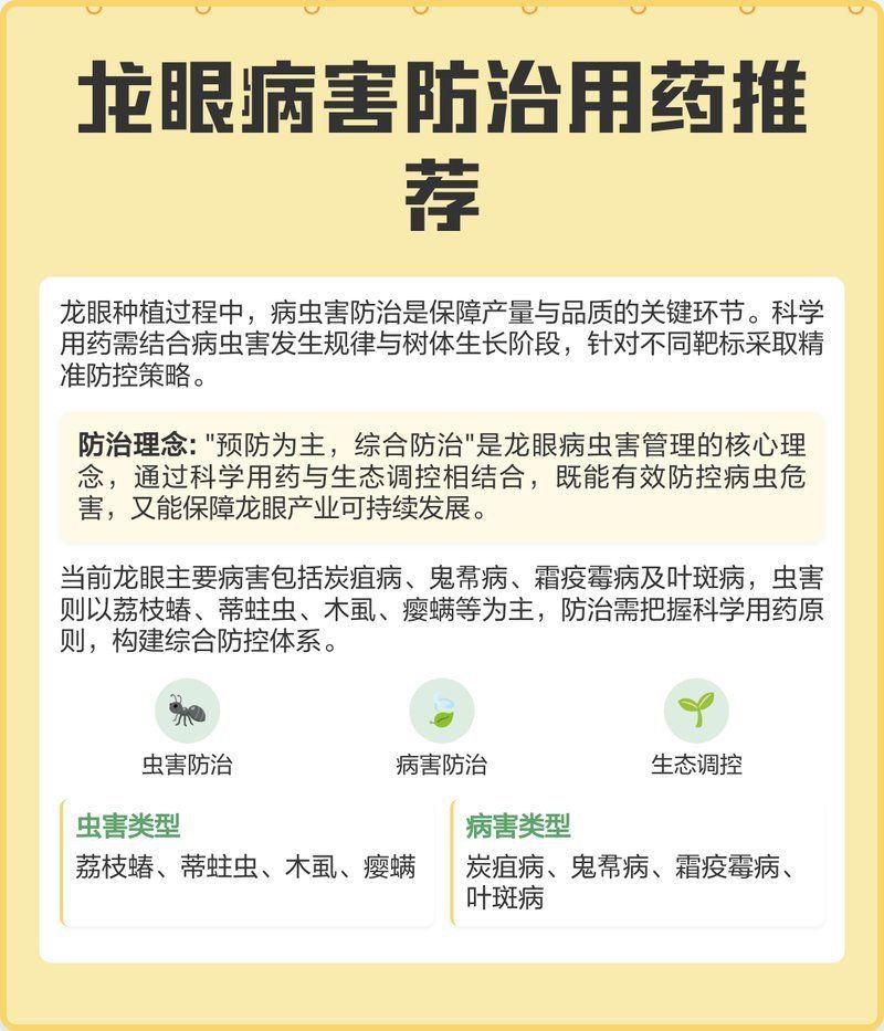 如何判斷龍眼是否感染爛尾??？