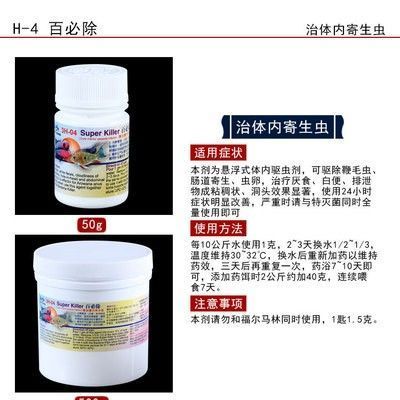 龍魚驅蟲用什么藥比較好一點呢：如何選擇龍魚驅蟲藥物