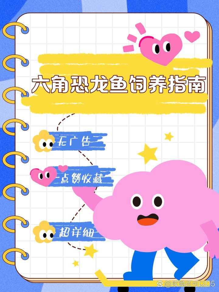 如何保持六角恐龍的水質清潔？