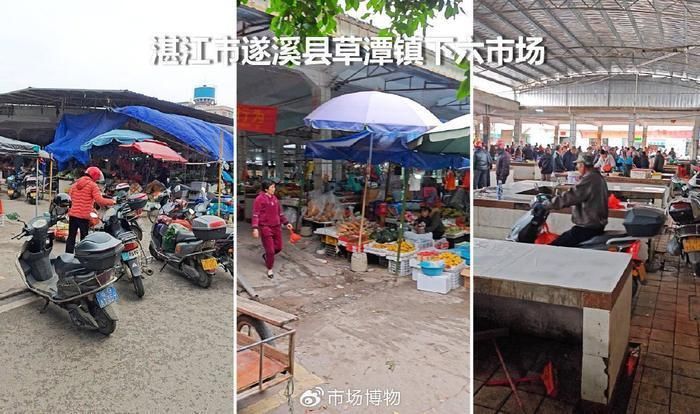 金鼓魚多少錢一斤