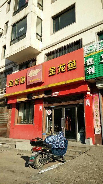 金龍魚門店一覽表
