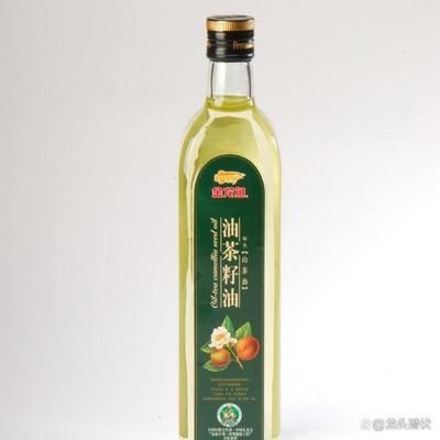 廣州龍魚批發市場在哪個位置啊（廣州龍魚市場主要位置信息）