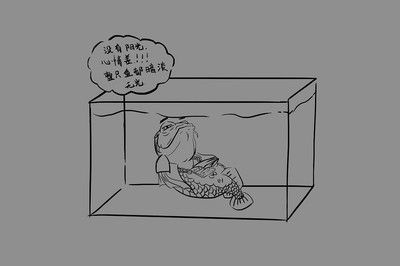 極魚龍魚：極魚龍魚缸售后服務(wù)不佳，實(shí)體店售后服務(wù)更是不懂