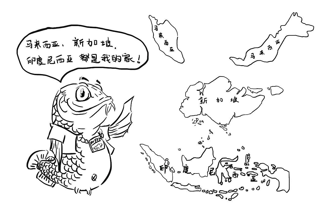 極魚龍魚：極魚龍魚缸售后服務(wù)不佳，實(shí)體店售后服務(wù)更是不懂